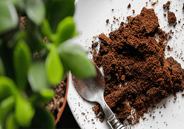 Bio-based (PHA) cling film made from coffee grounds
